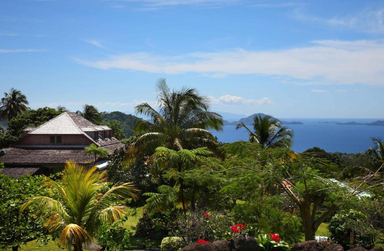 Jardin Malanga Hotel Basse-Terre Exterior foto