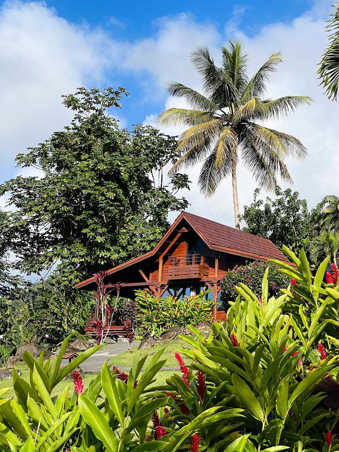 Jardin Malanga Hotel Basse-Terre Exterior foto