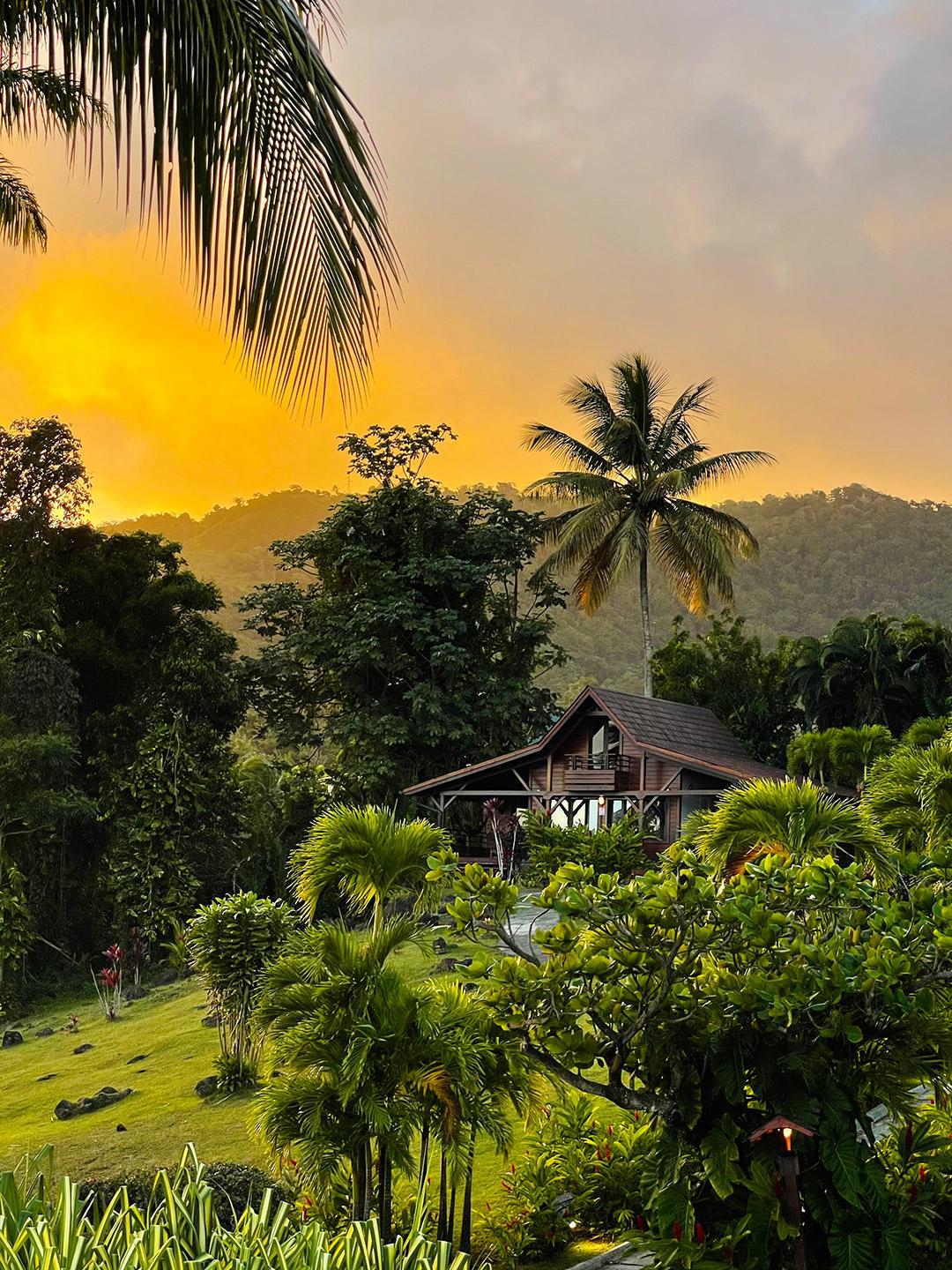 Jardin Malanga Hotel Basse-Terre Exterior foto