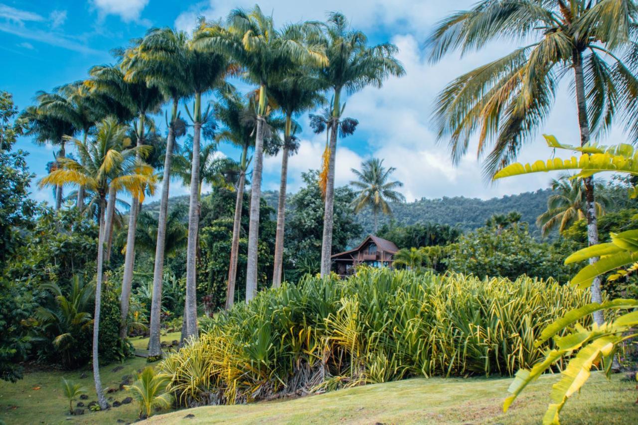 Jardin Malanga Hotel Basse-Terre Exterior foto